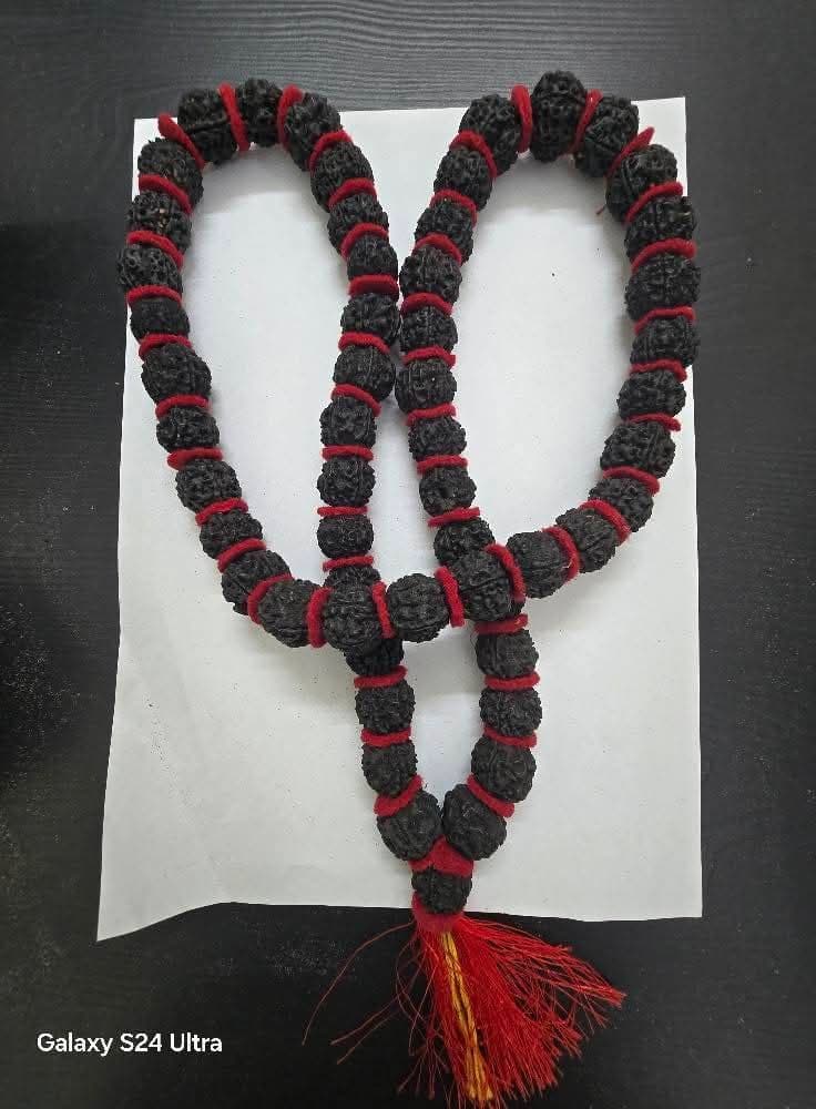Rudrakhs Mala