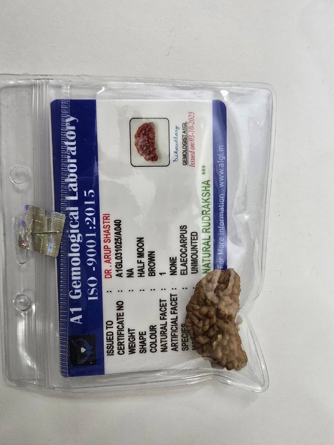 1 Mukhi Rudrakhs - Image 2