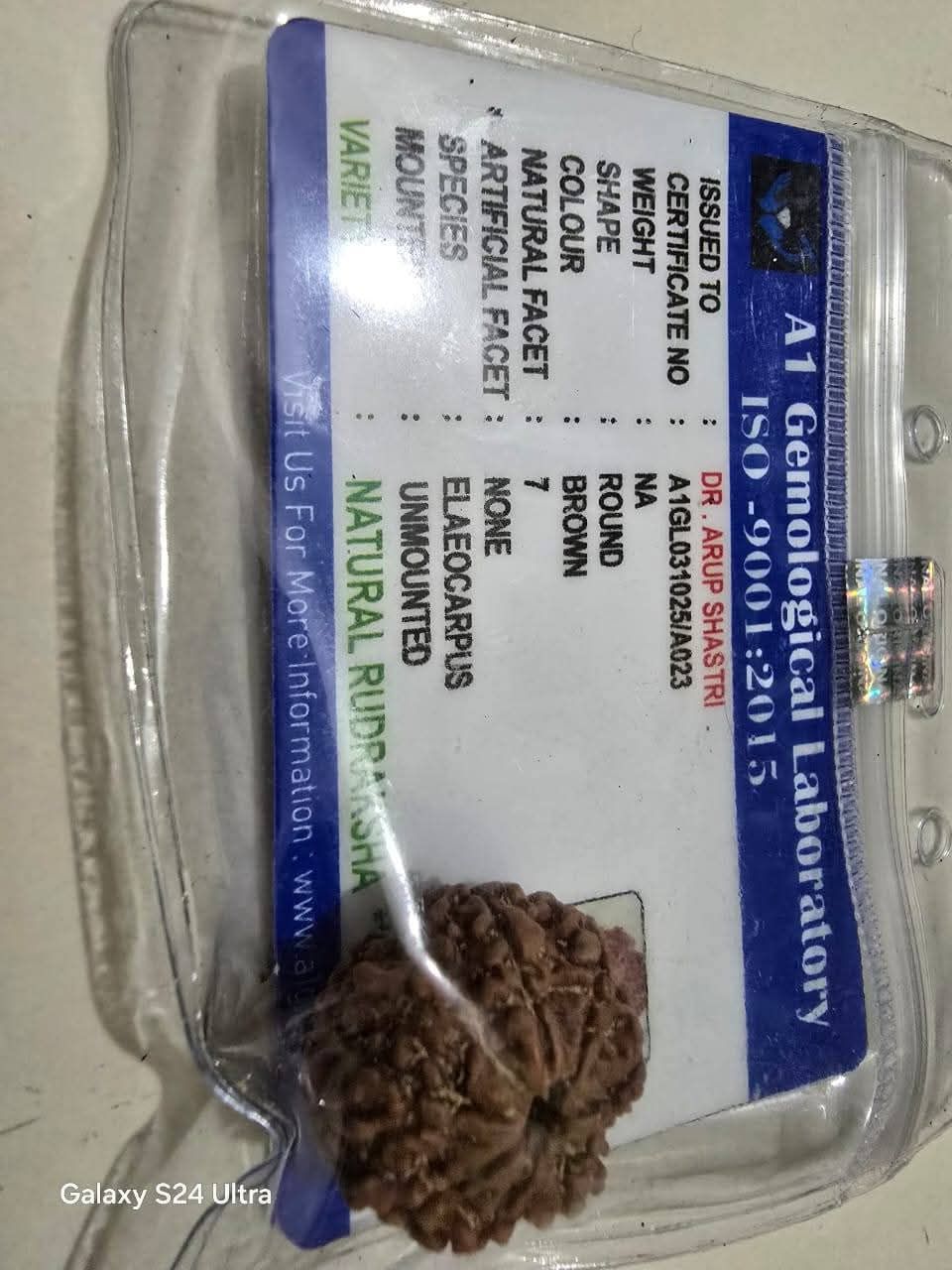 7 Mukhi rudraksha - Image 1