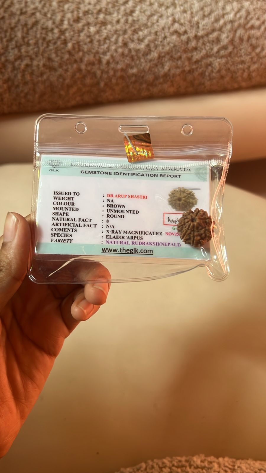 8 Mukhi Rudraksha - Image 1